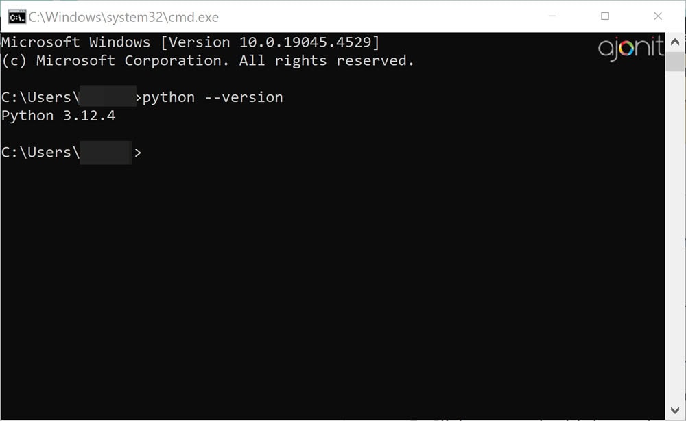 Retrieve python version from command line 